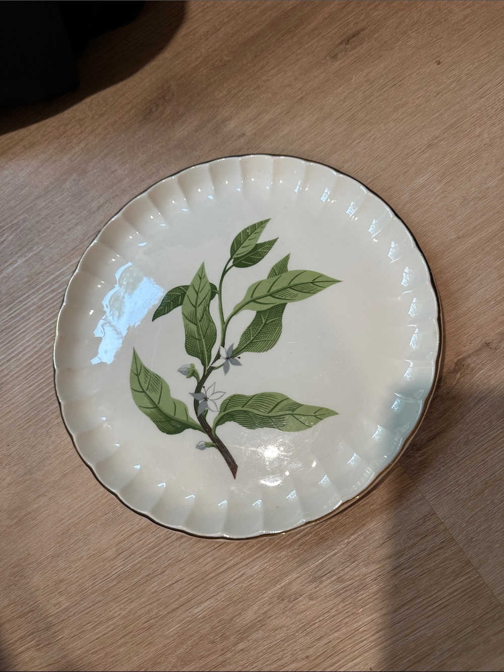 Vintage W.S. George Bolero Fine China Green valley dinner plate